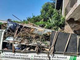 Best Moving and Downsizing Cleanouts  in Bowling Green, VA